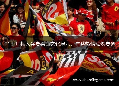 F1土耳其大奖赛看台文化展示，车迷热情点燃赛道
